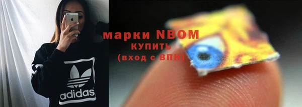 твердый Протвино