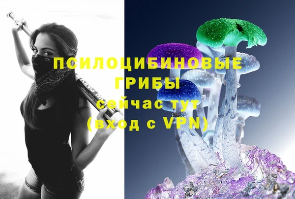 jwh Алзамай